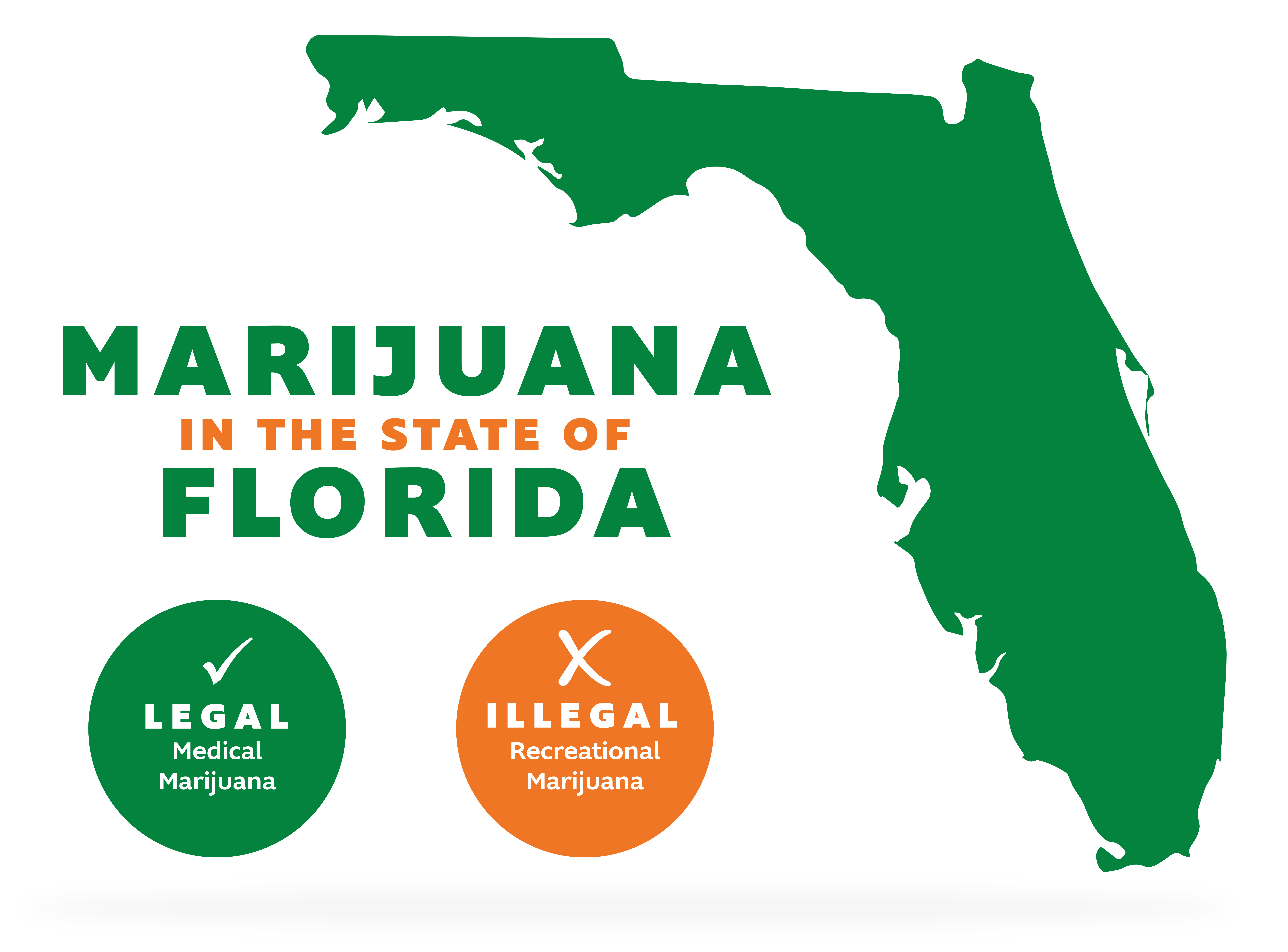 What are the Marijuana Laws in Florida: Essential Guide 2026